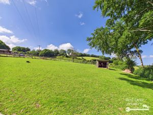 Paddock- click for photo gallery